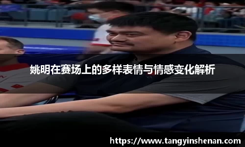 姚明在赛场上的多样表情与情感变化解析